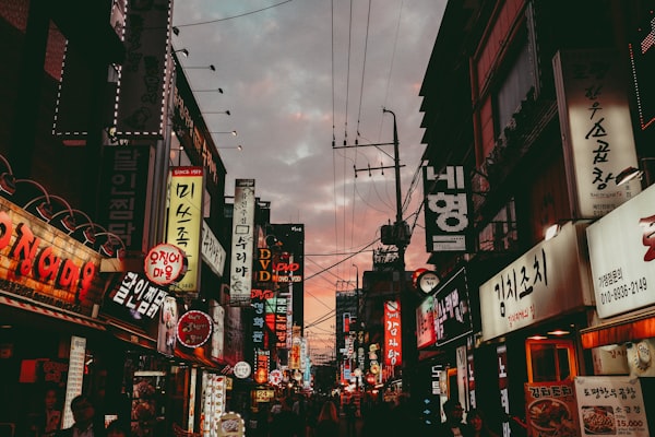 국내 여행